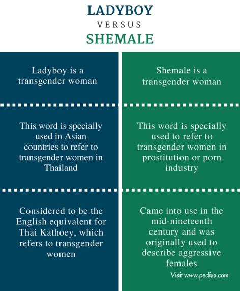 Difference Between Ladyboy and Shemale